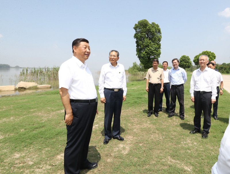 下载官网最新版星空栏目导航主席