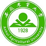 皖公网安备案340192020003