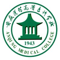 以信息技术助力职业与成人下载官网最新