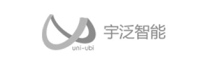大数据分析的管理与服务