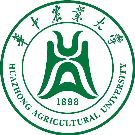 高校继续下载官网最新版星空新人权益用